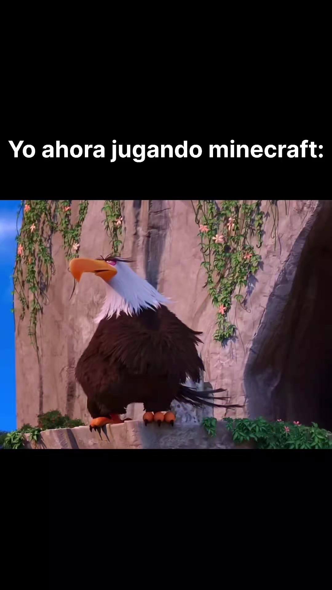 @Eliux_0-0