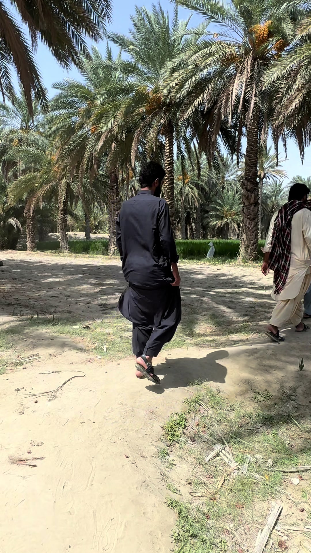 @Rahmdil Saba