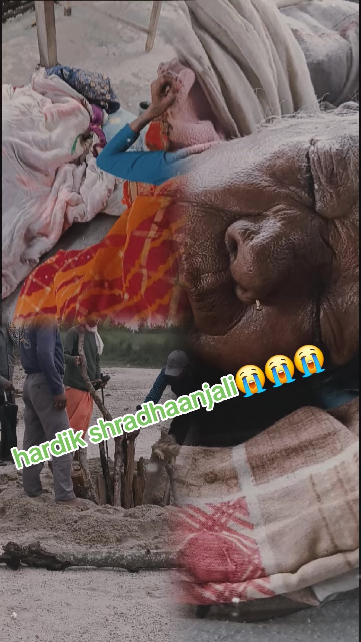 @Aahana Tharuni