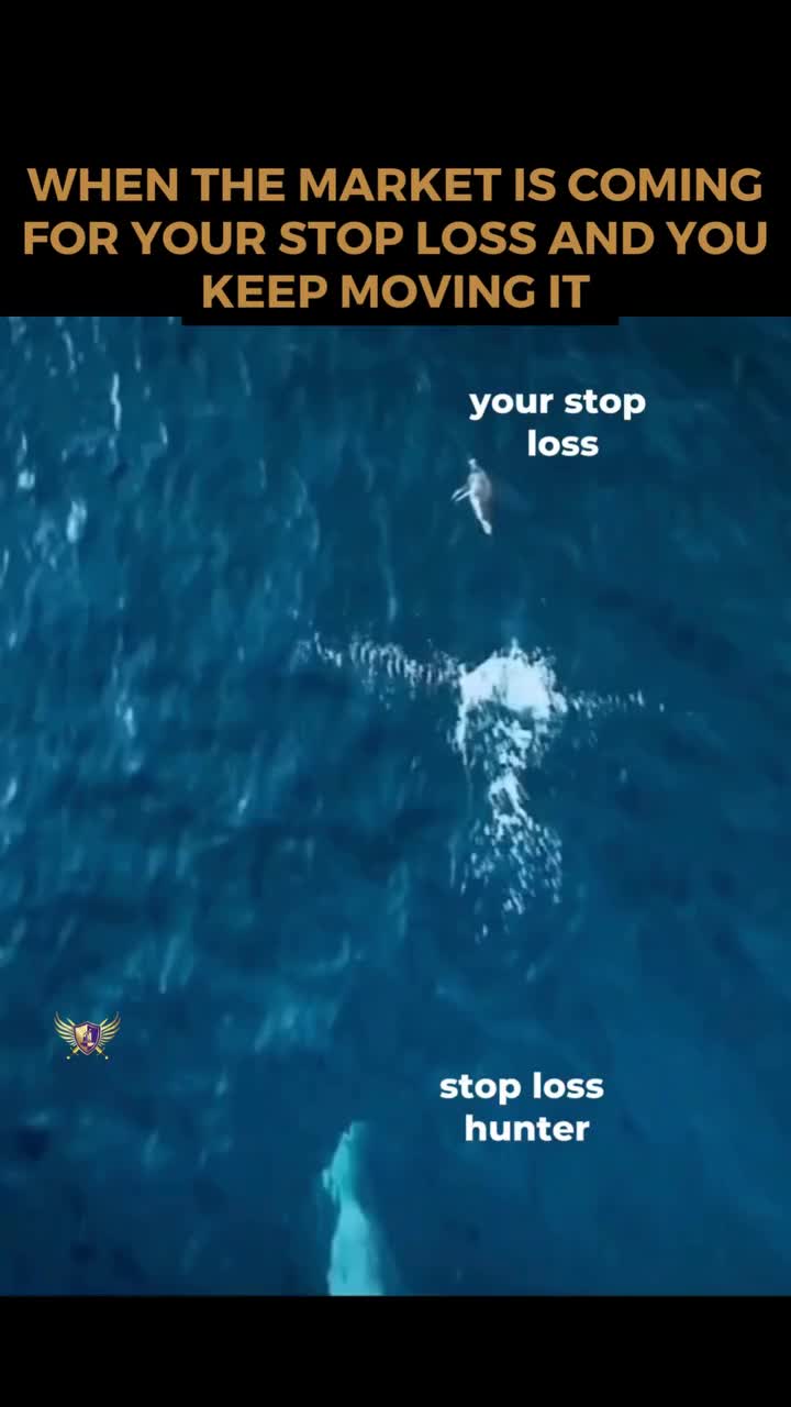 @ValorantStorm