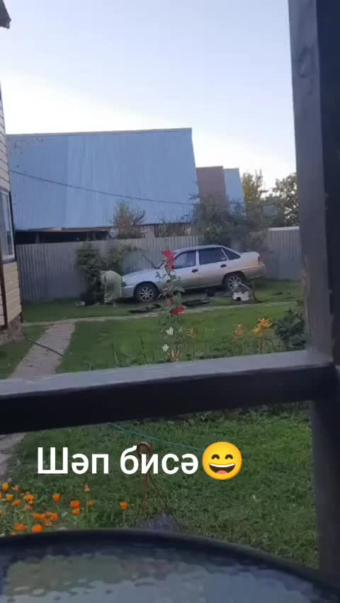 @Биби