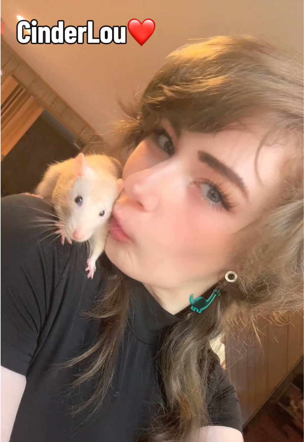 @lookatmyrodents