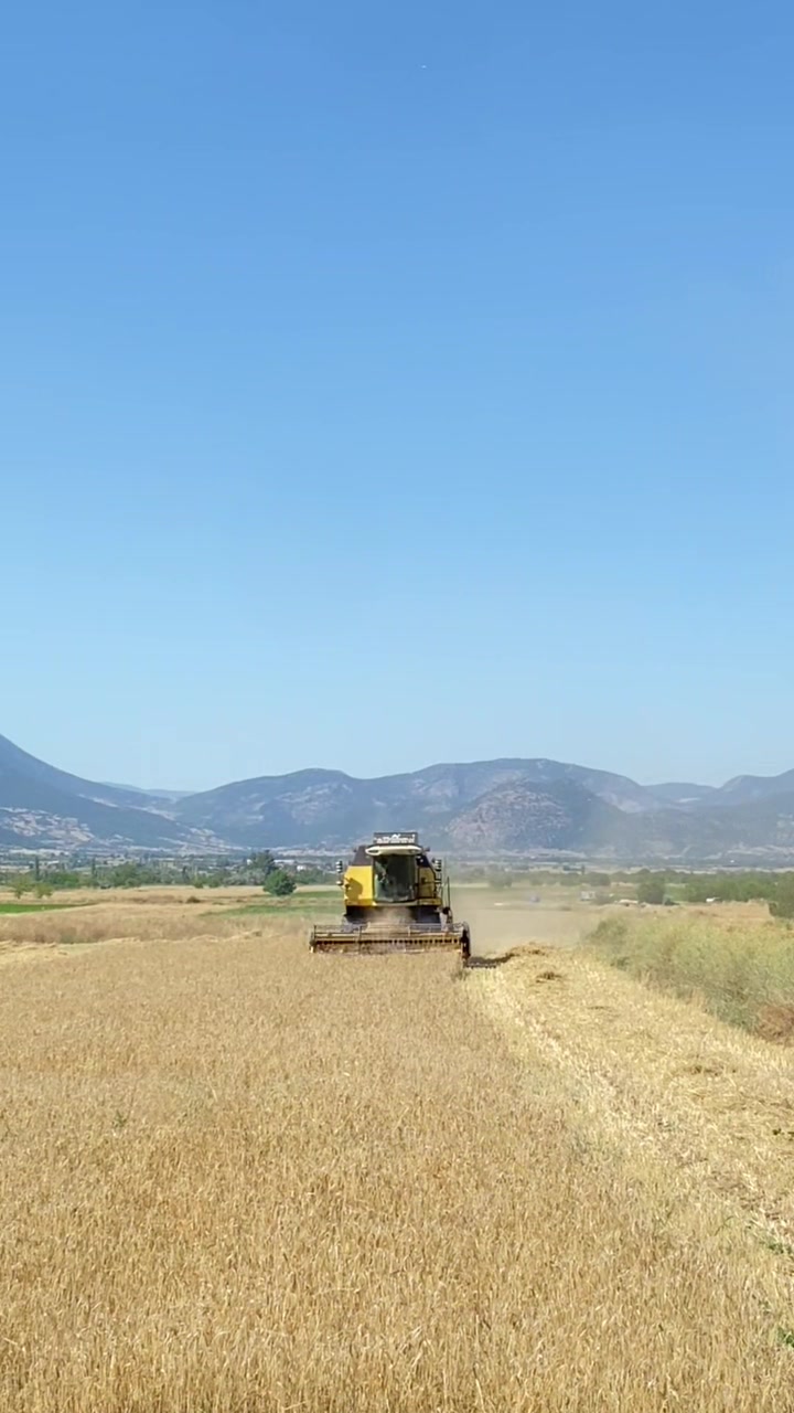@Teslime AFŞAR