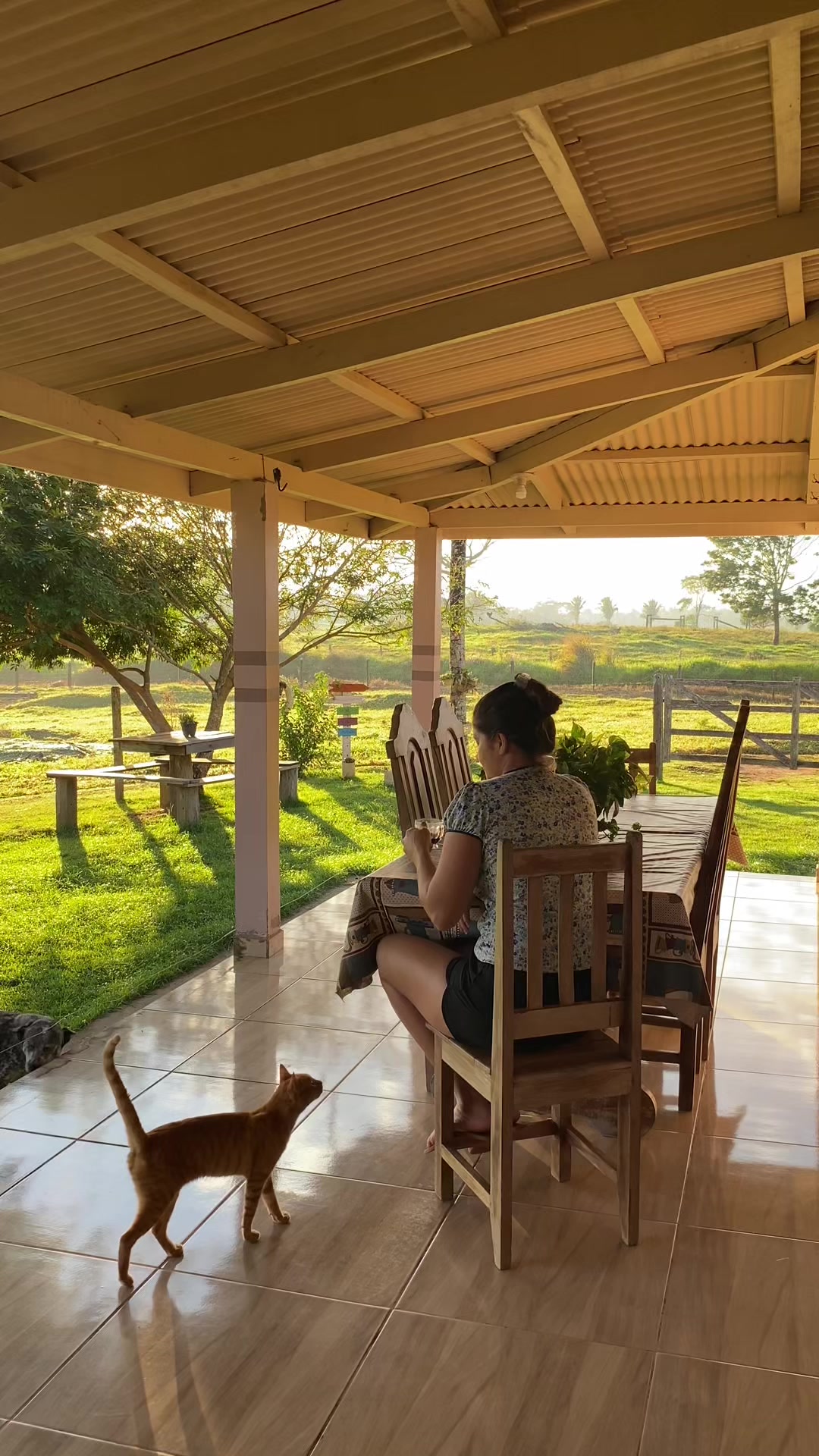 @meucantinhonositio🏡☀️🍃