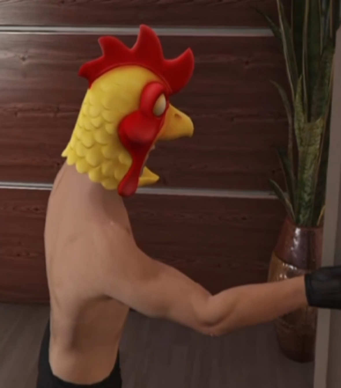 @atom_chicken