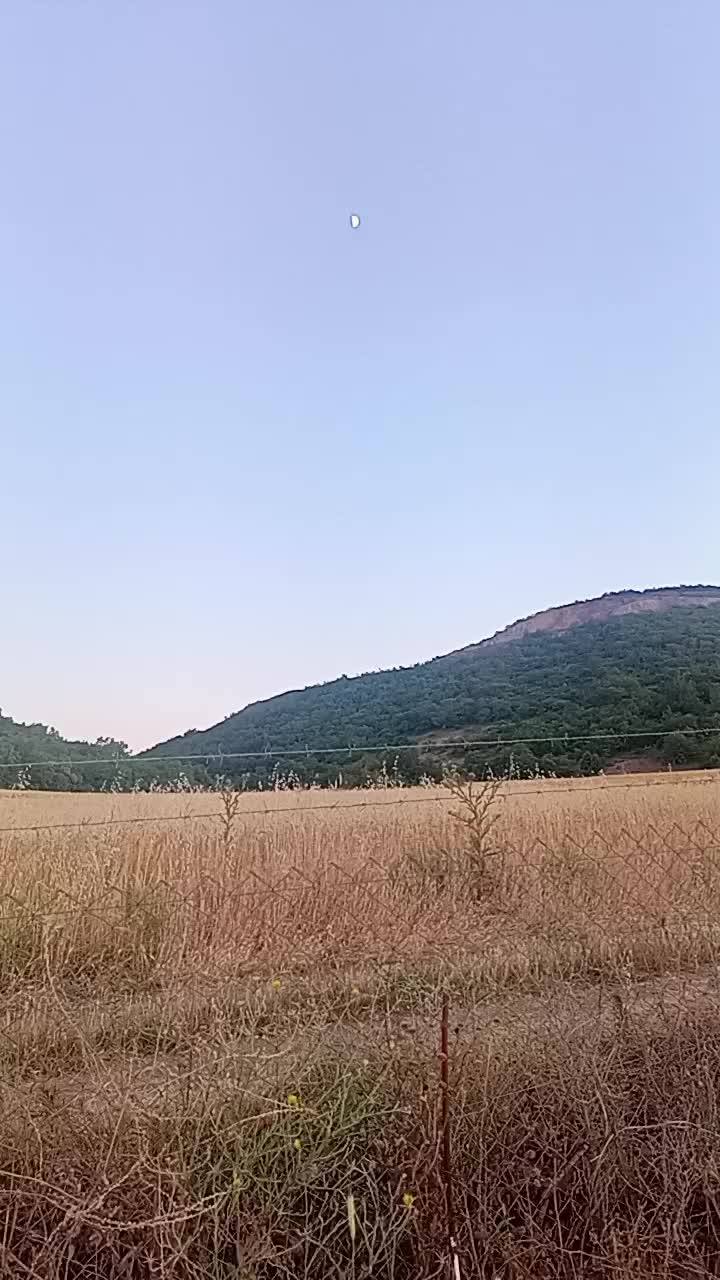 @&Uuml;MİT
