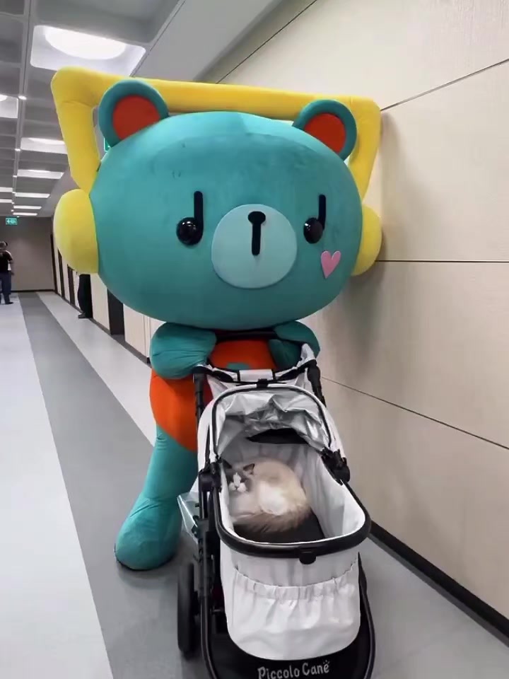 @ᴘᴘᴡᴘᴀɢᴇꜱ