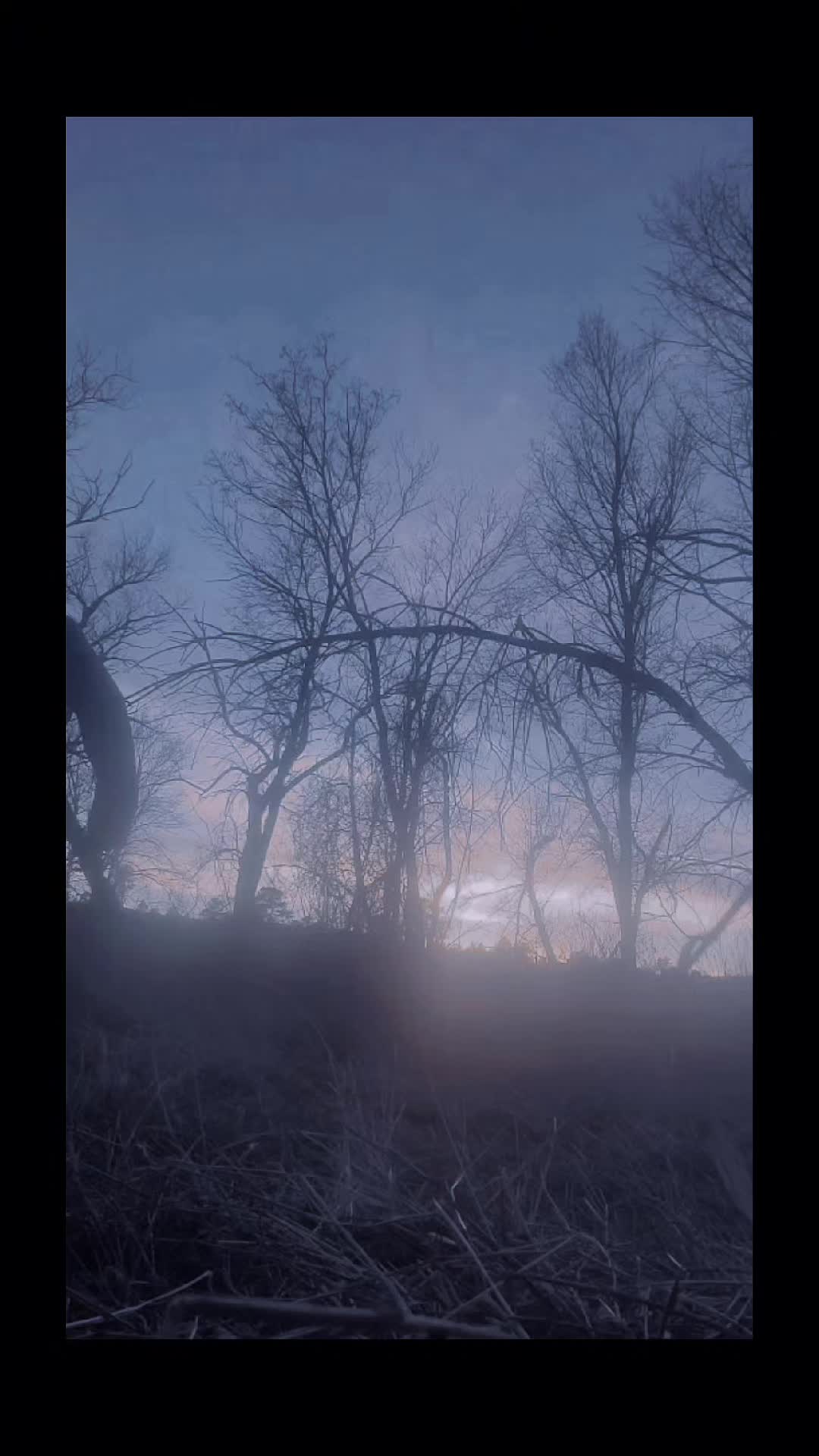 @hoksilanagi