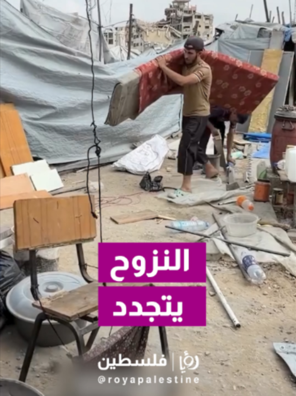 @Royapalestine رؤيا فلسطين