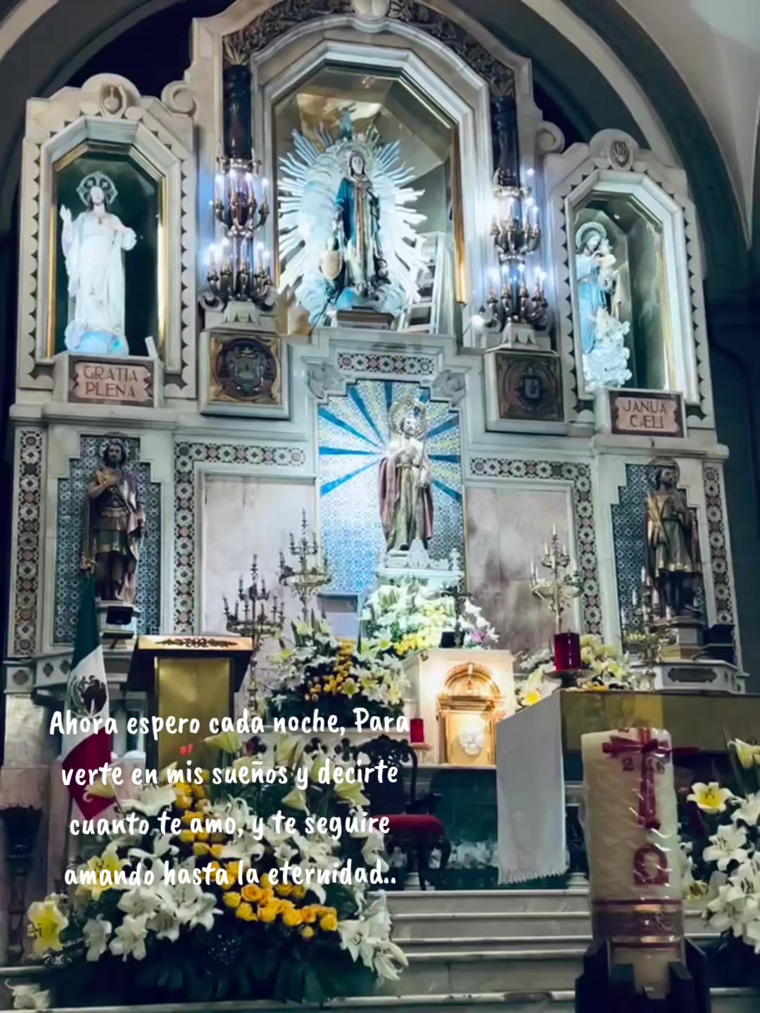@𝓜𝓲𝓽𝓬𝓱𝓮𝓵𝓵𝓮.