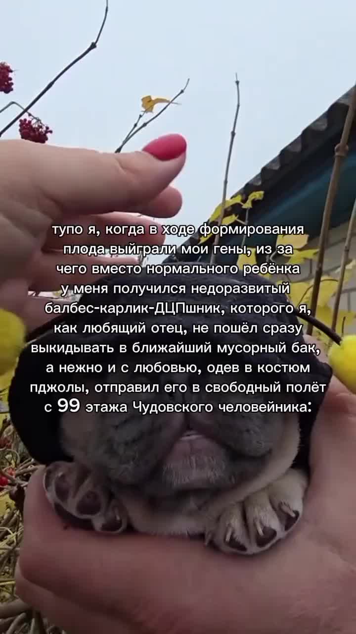 @Камнеест настоящий