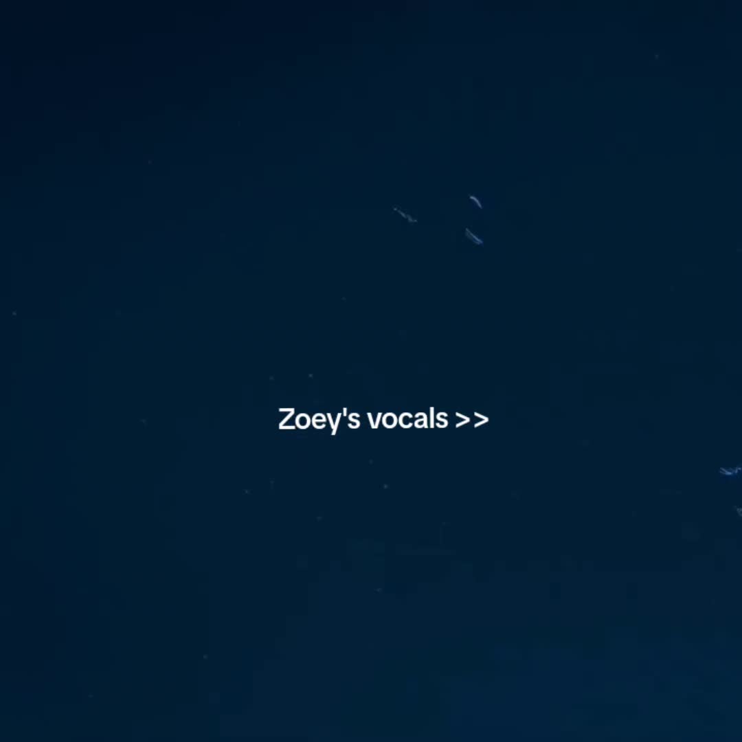 @✨️