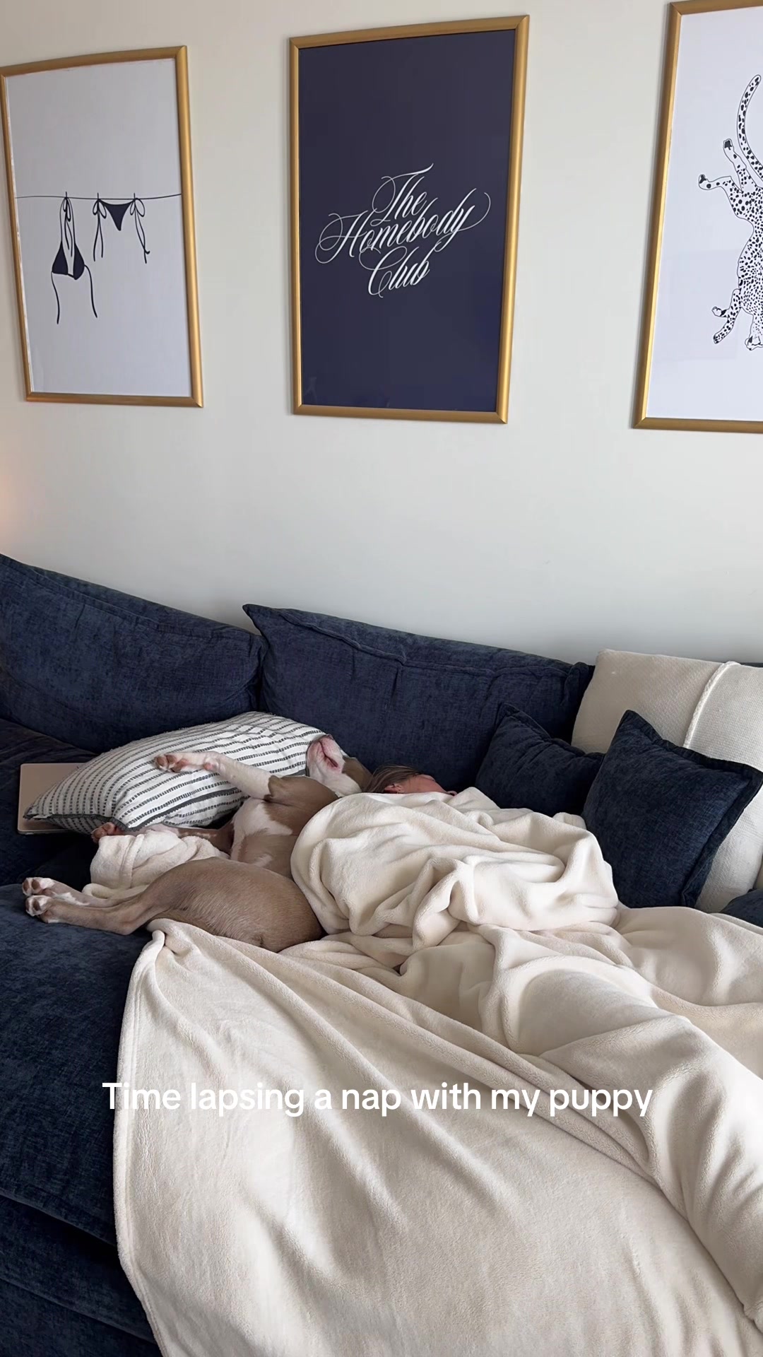 @Millie The Pitty
