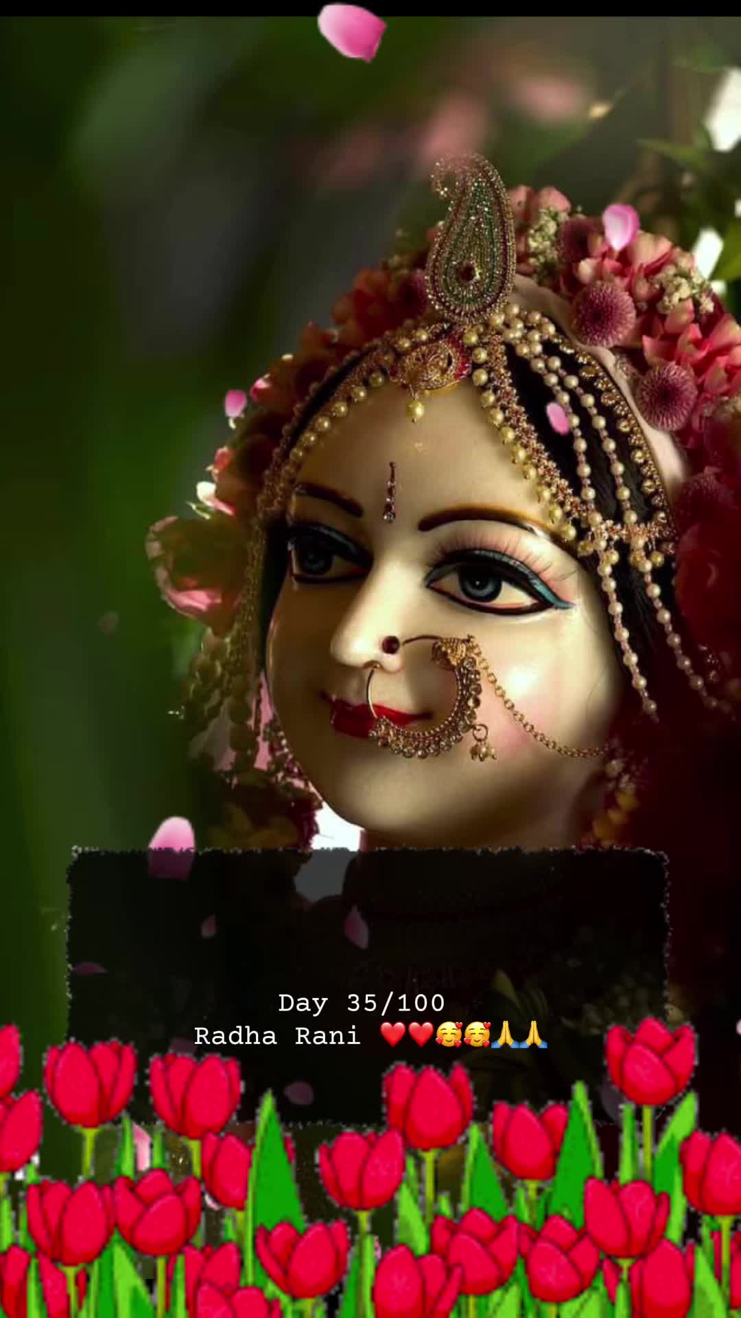 @RadheKrishna🦚🦚🙏🙏