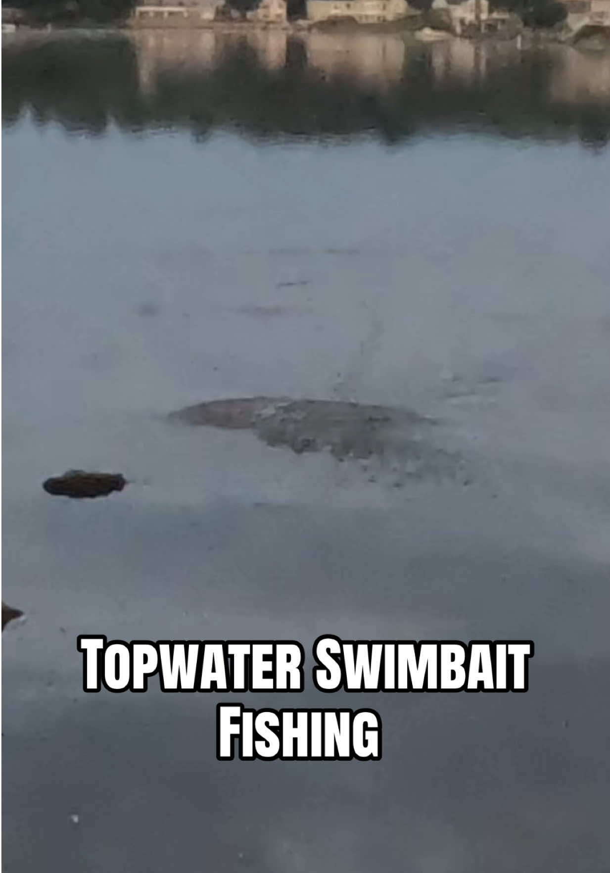 @Tacklehead Fishing