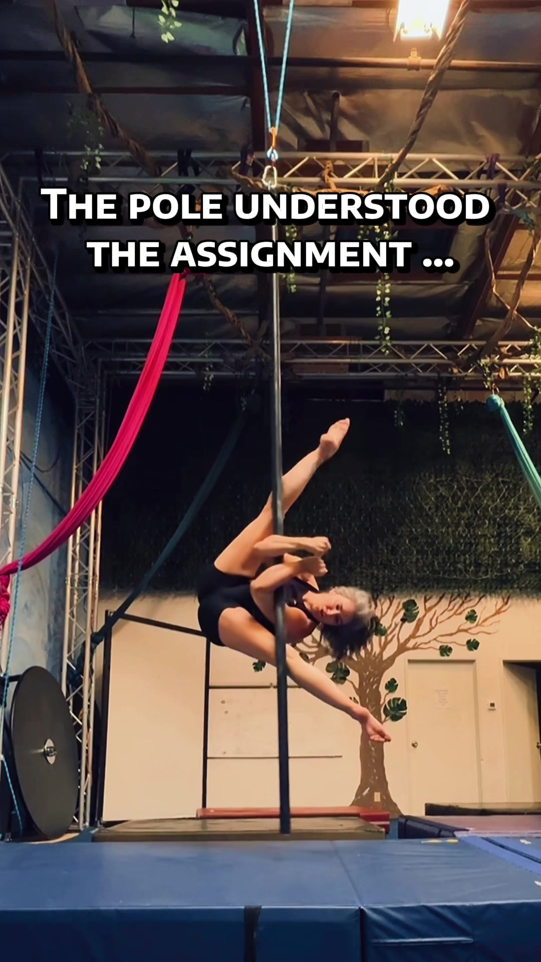 @gravitydenied