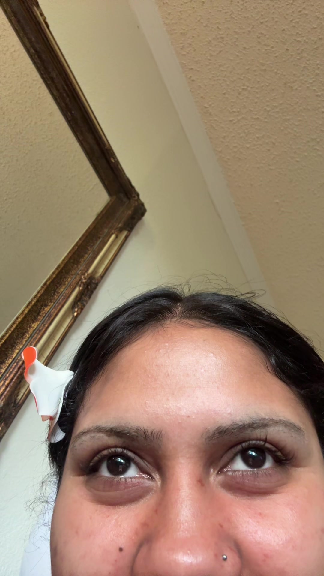 @saiyanidez