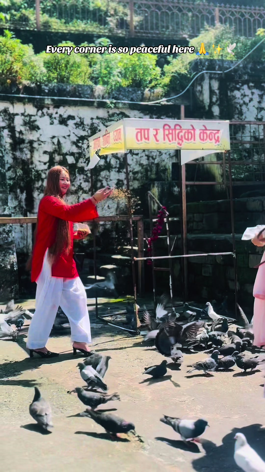 @एन्जली राई 👩⚕️🦚🧿🪬