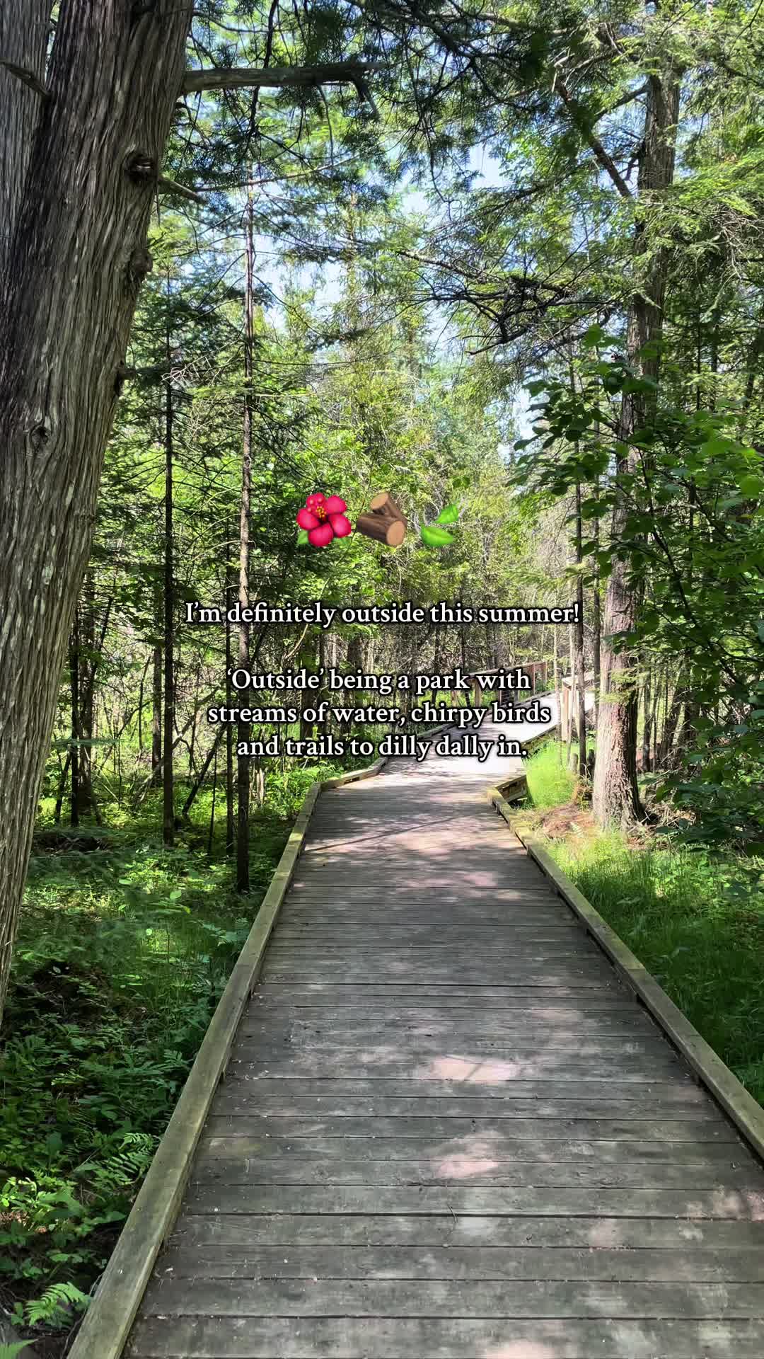 @ꪑ𝘳𝘴. ꫀ𝘳iᥴꪖ 🎀