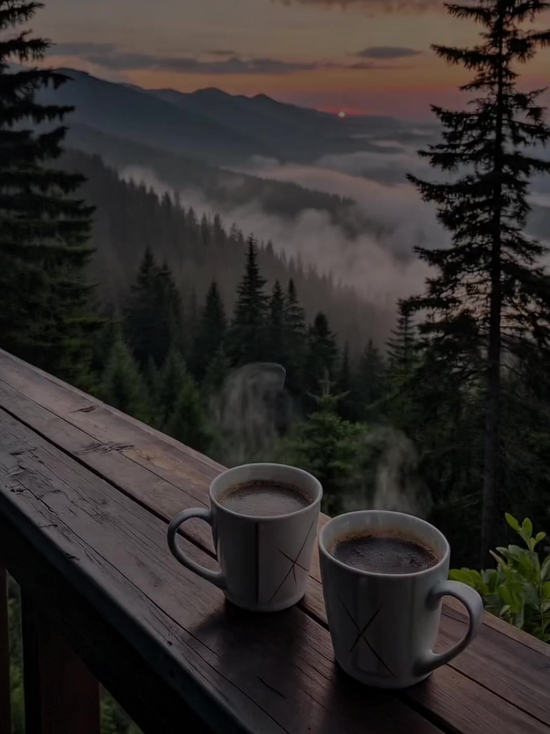 @𝐒𝐨𝐧𝐦𝐢𝐬𝐫𝐚𝐦𝐝𝐚🎶