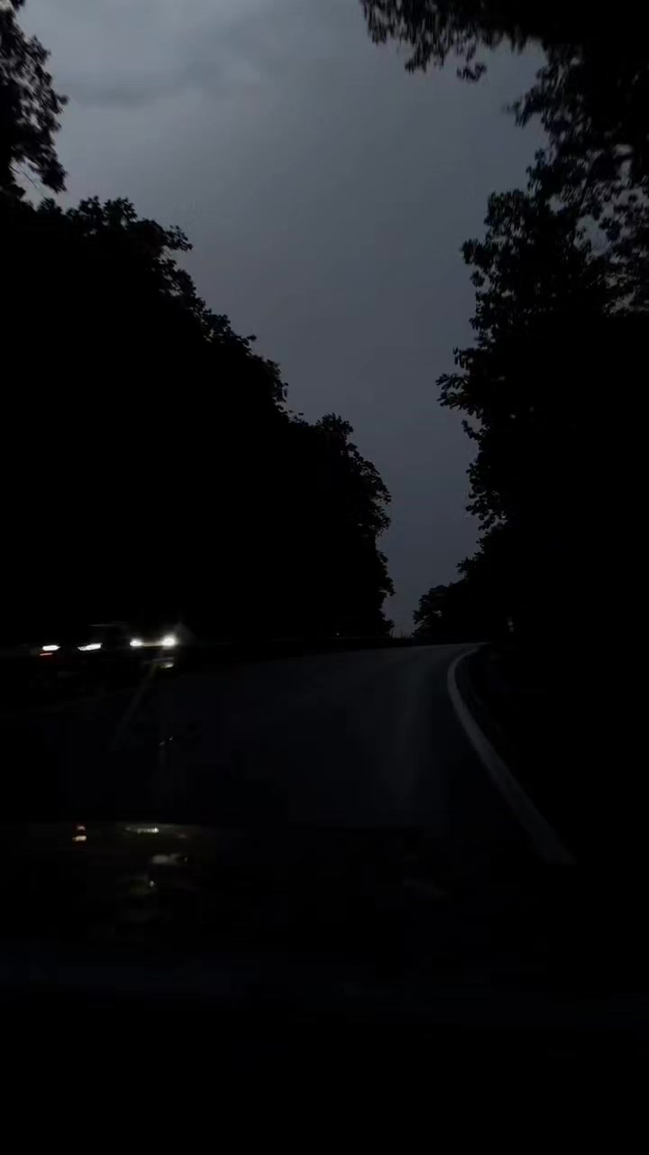 @𐙚˚࿔ 𝐒𝐔𝐍𝐅𝐋𝐎𝐖𝐄𝐑