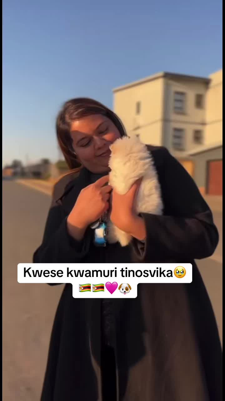 @DracularDogKennels🐶🇿🇼