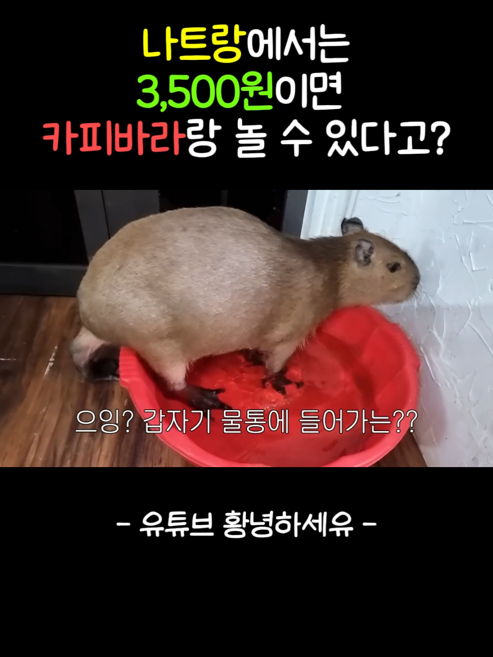 @황녕하세유 HU_on_trip