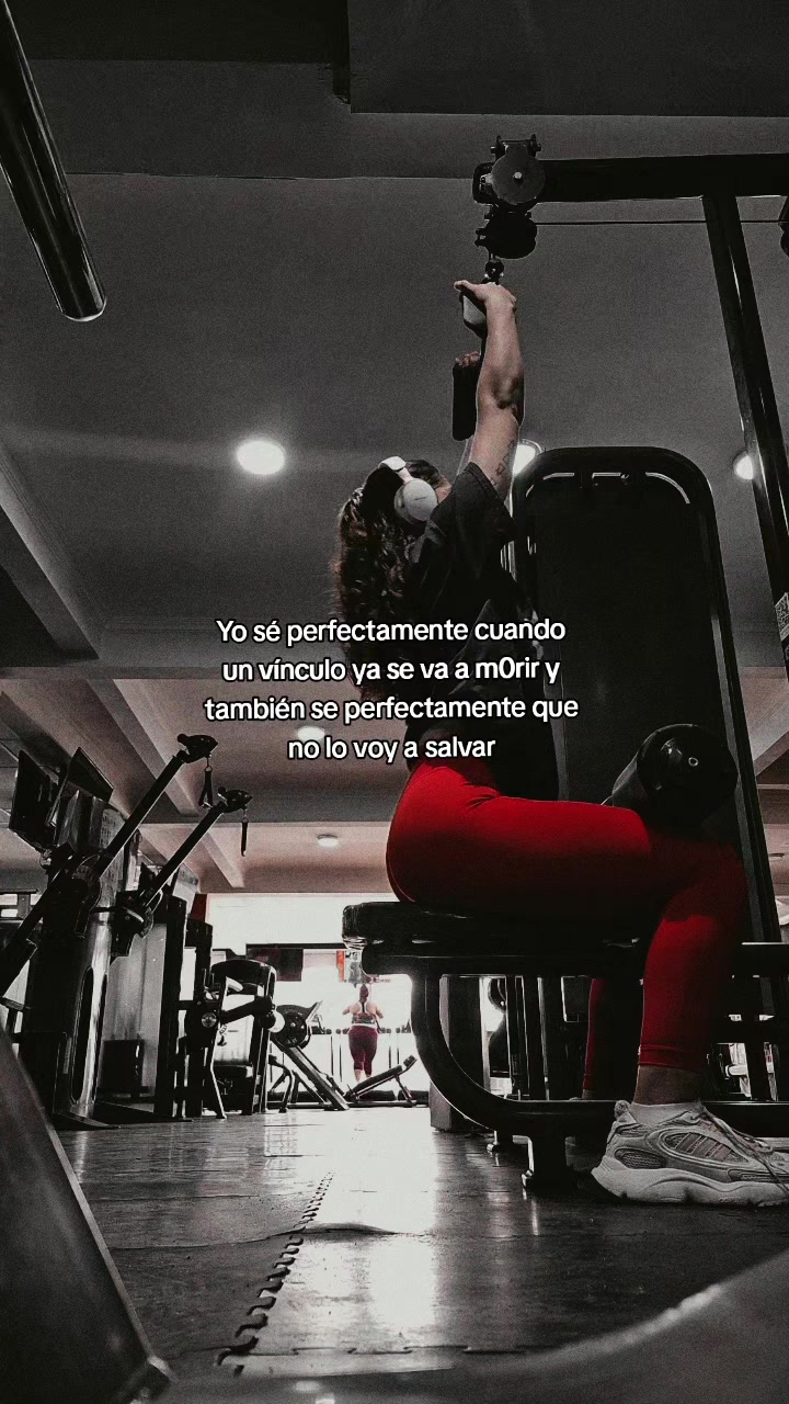 @PAOLA🌷🪻🦋