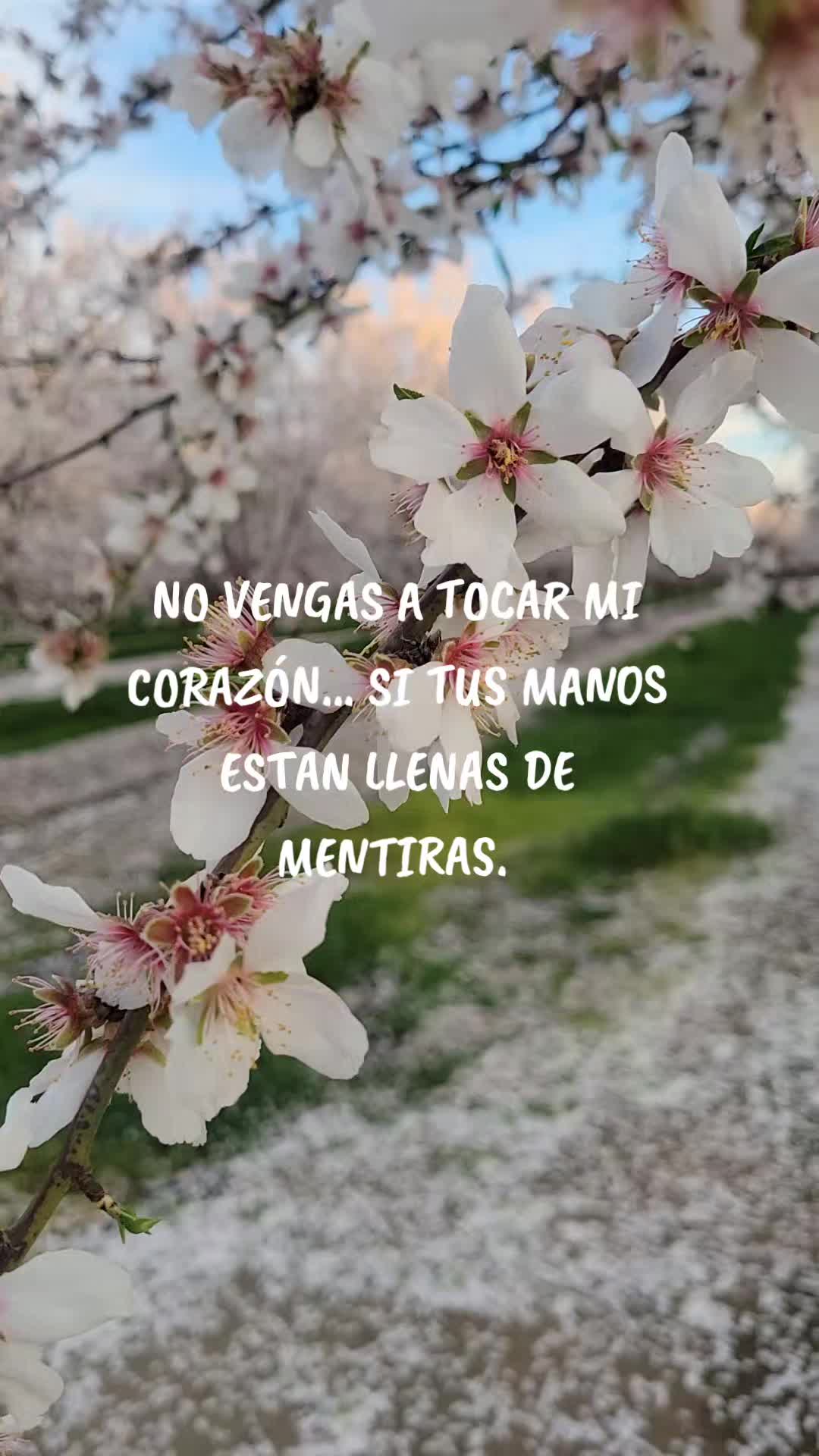@👑Plebe.Oz💋