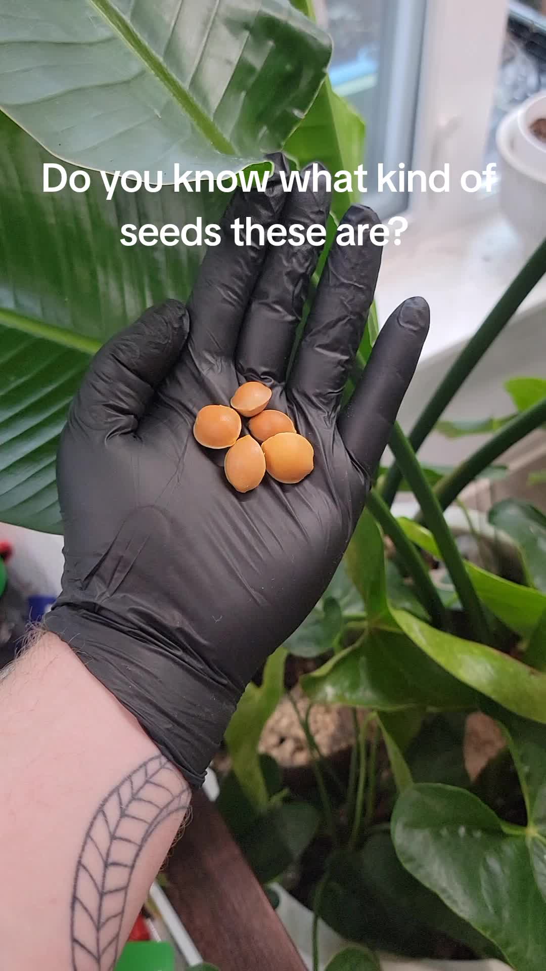 @Ryan