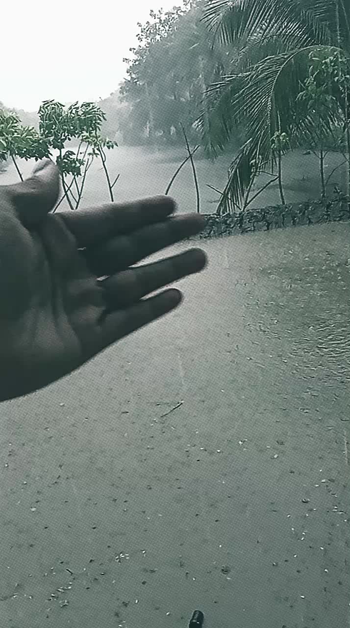 @❣️❣️❣️মন হারা পাখি ❣️❣️❣️