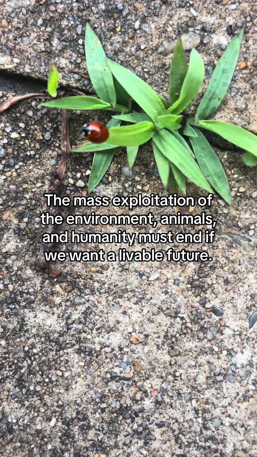 @environmentalist bro