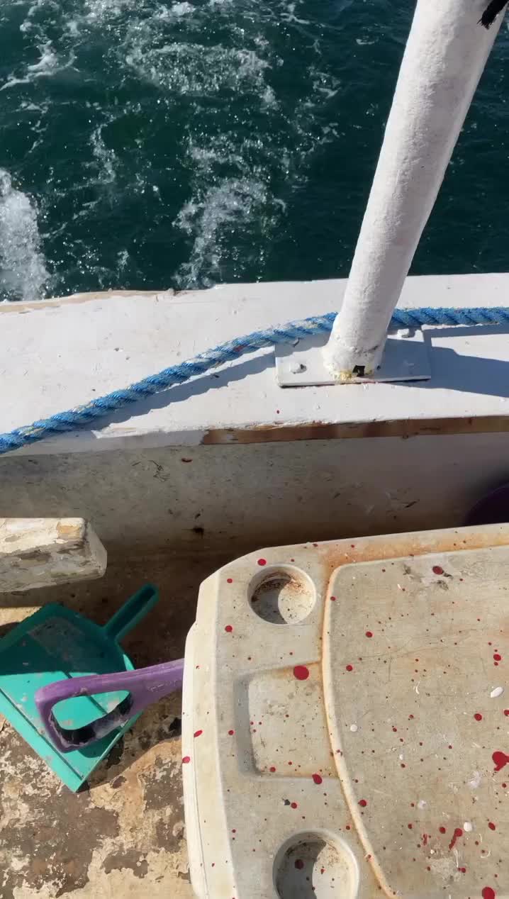 @Crab Mafia