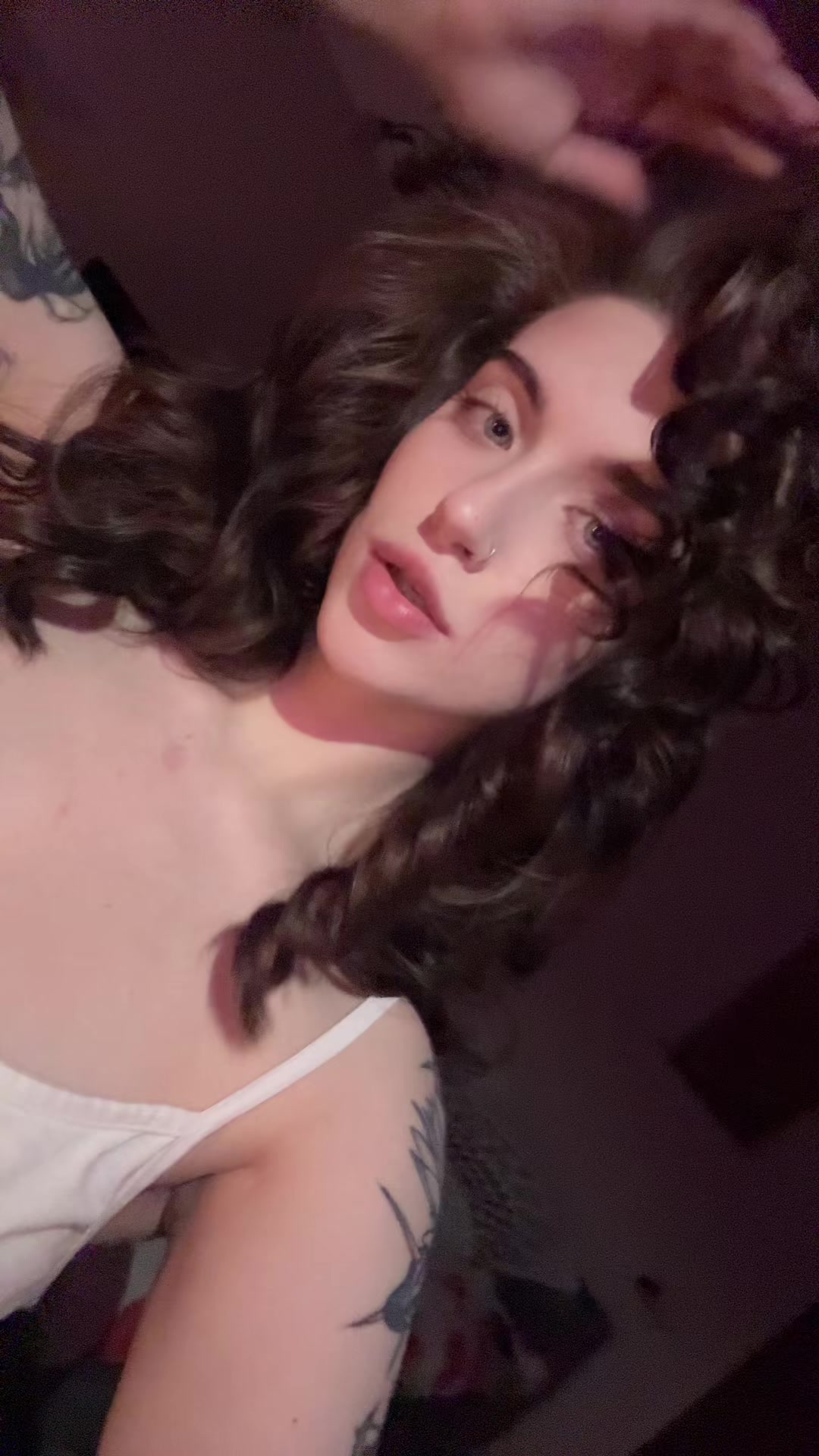 @librasev