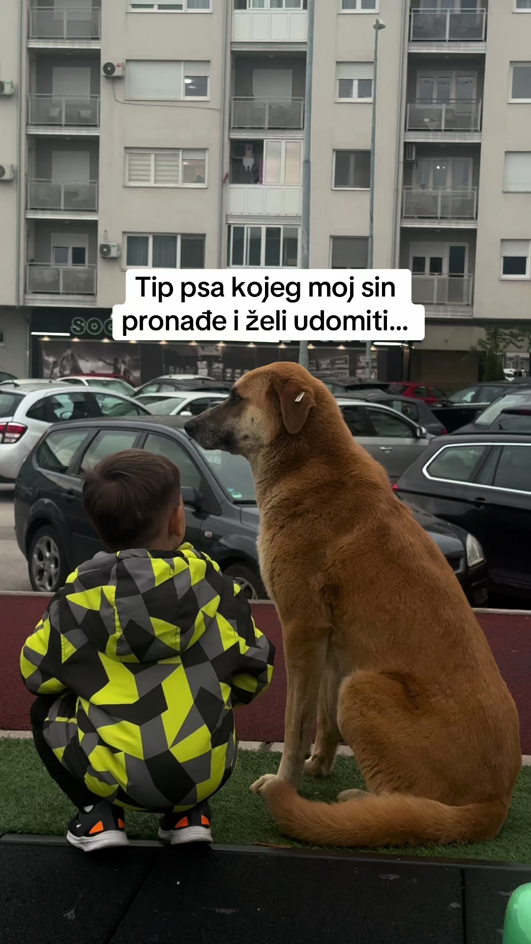 @Margarita Savić