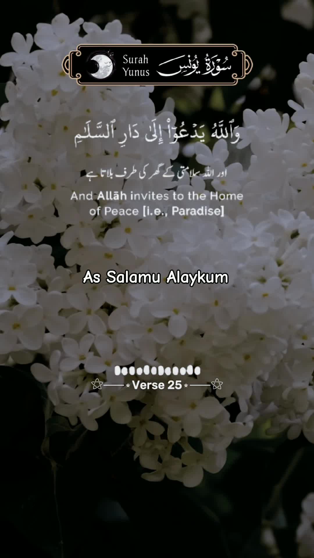 @Halima