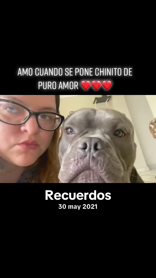 @Sadiytolo 🐶❤️