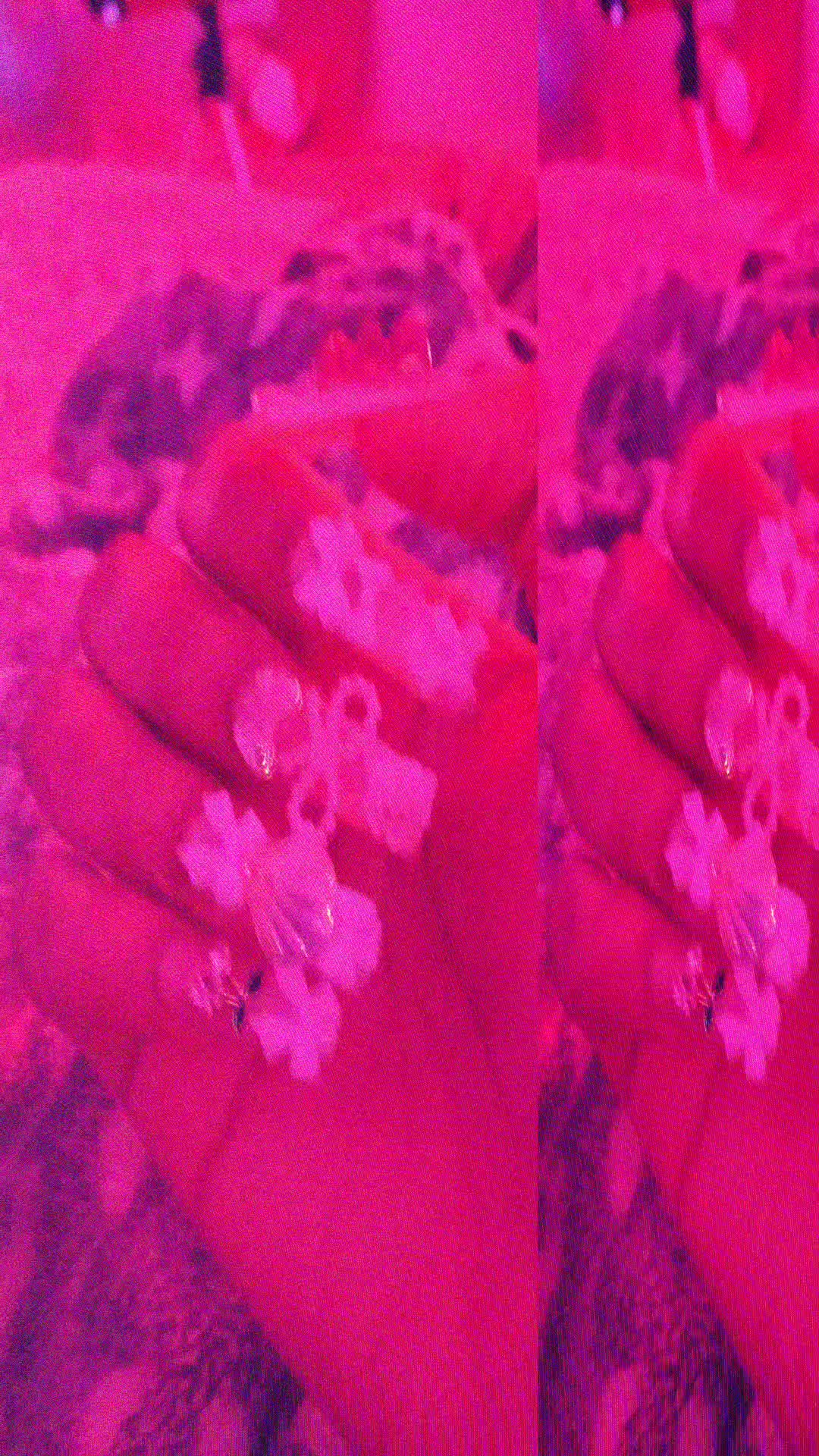 @𖣂brookieeeeee𖣂