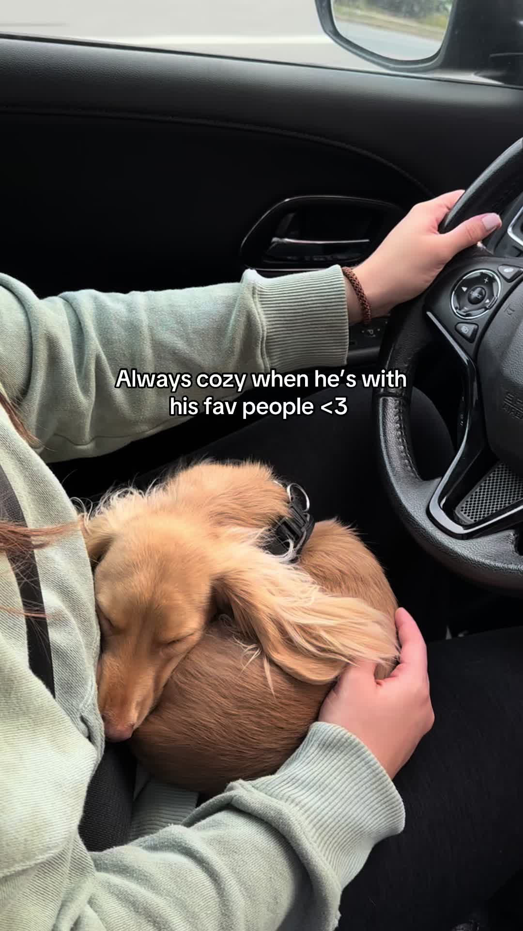 @Cashew