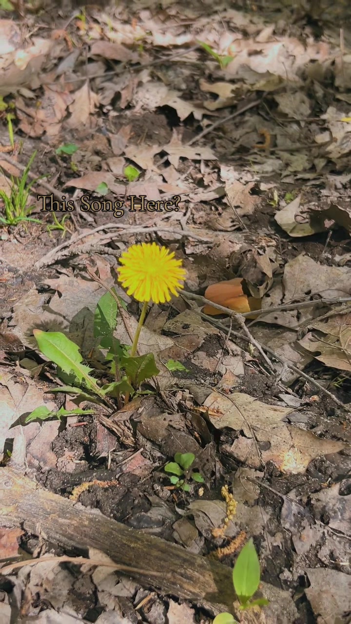@꩜*٭𓋼𓍊𐀔𝐿𝑒𝓍𝓍𝒾𓆣⋆↟𖠰𖦹⋆˙⋆