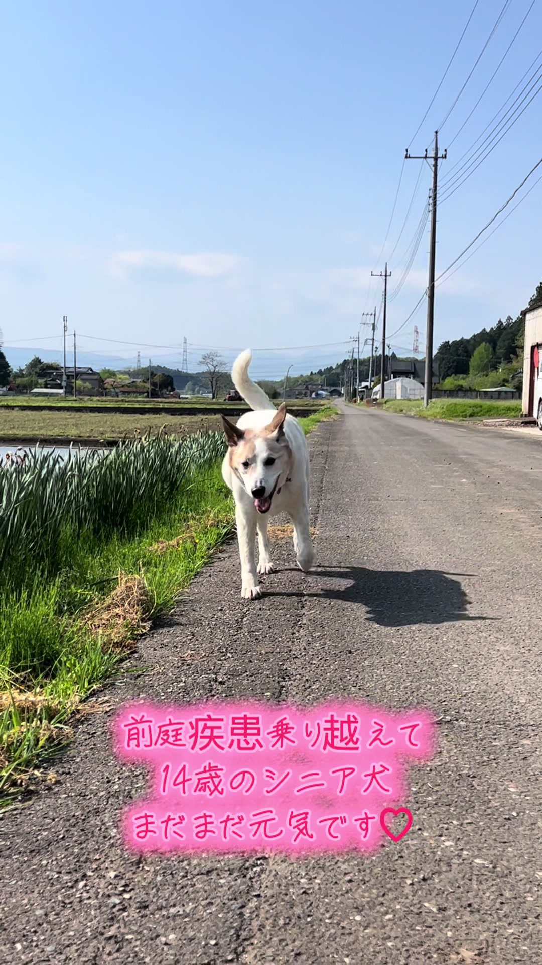 @山口あや