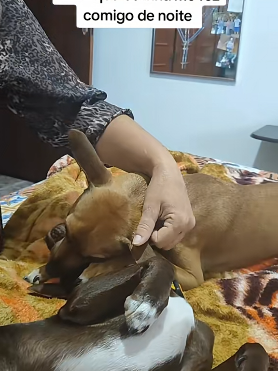 @Belinha e tiamara