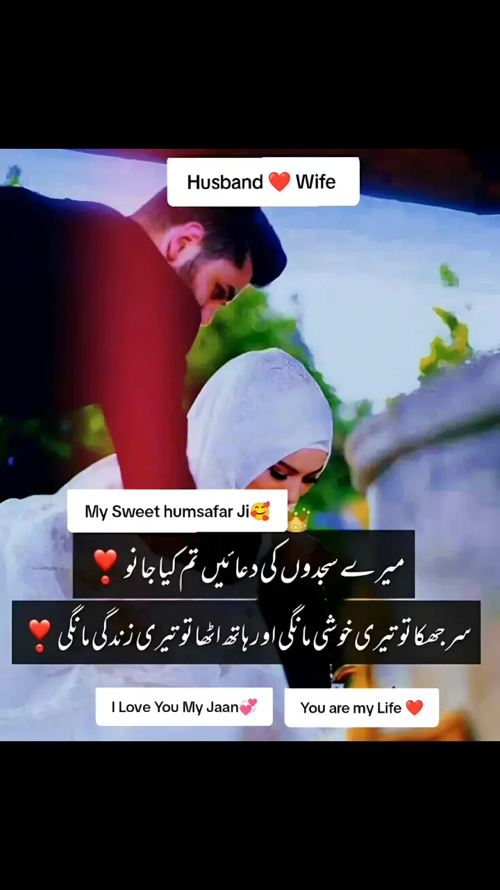 @Hadi Ali