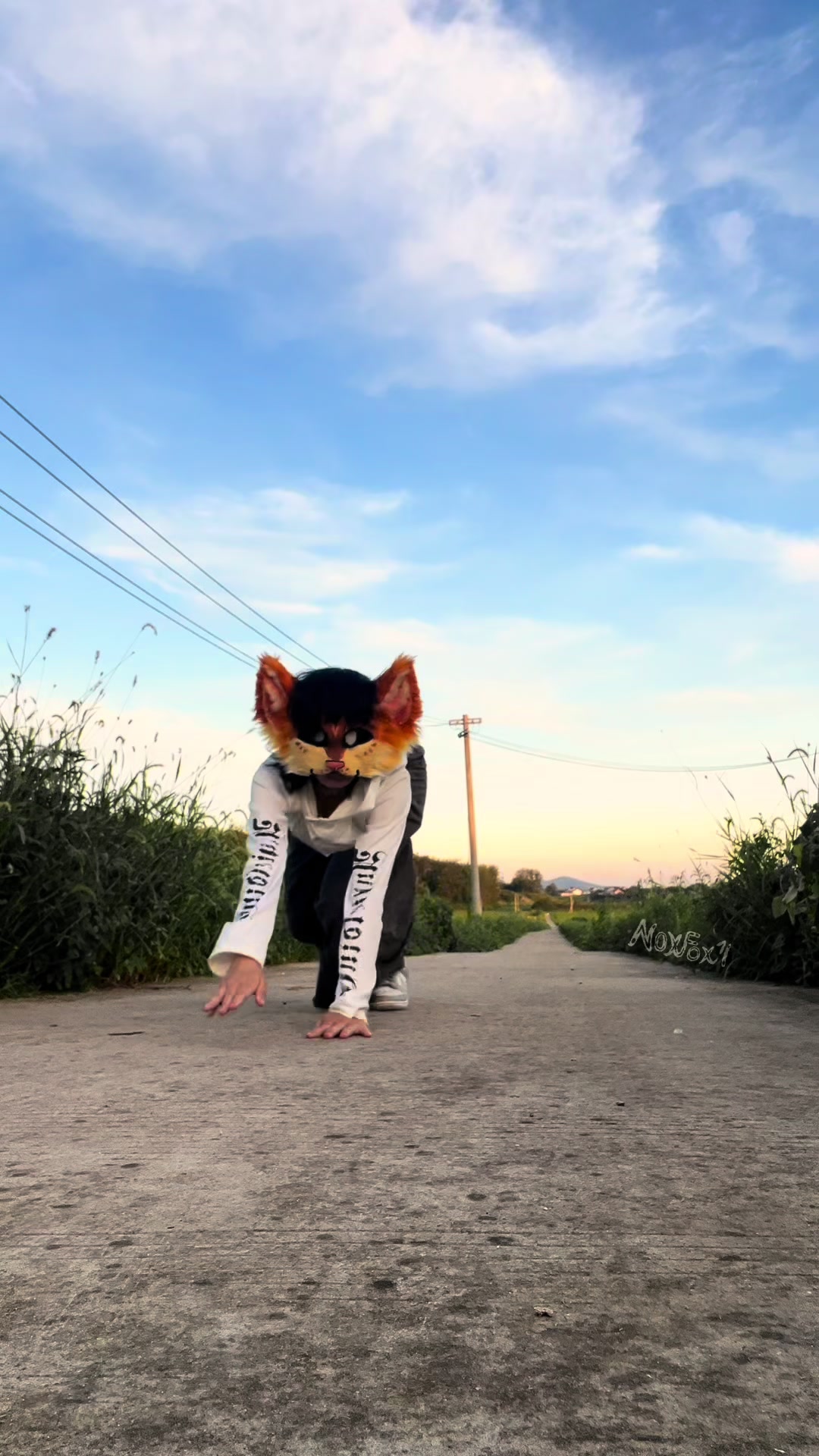 @NoxFox💫
