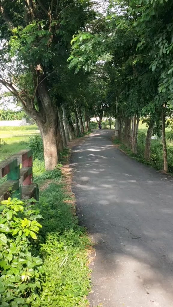 @ꪑᦔ ꪑꪖ𝘴ꪊᦔ ᥴꫝꪖꪊᦔꫝꪖ𝘳ꪗ