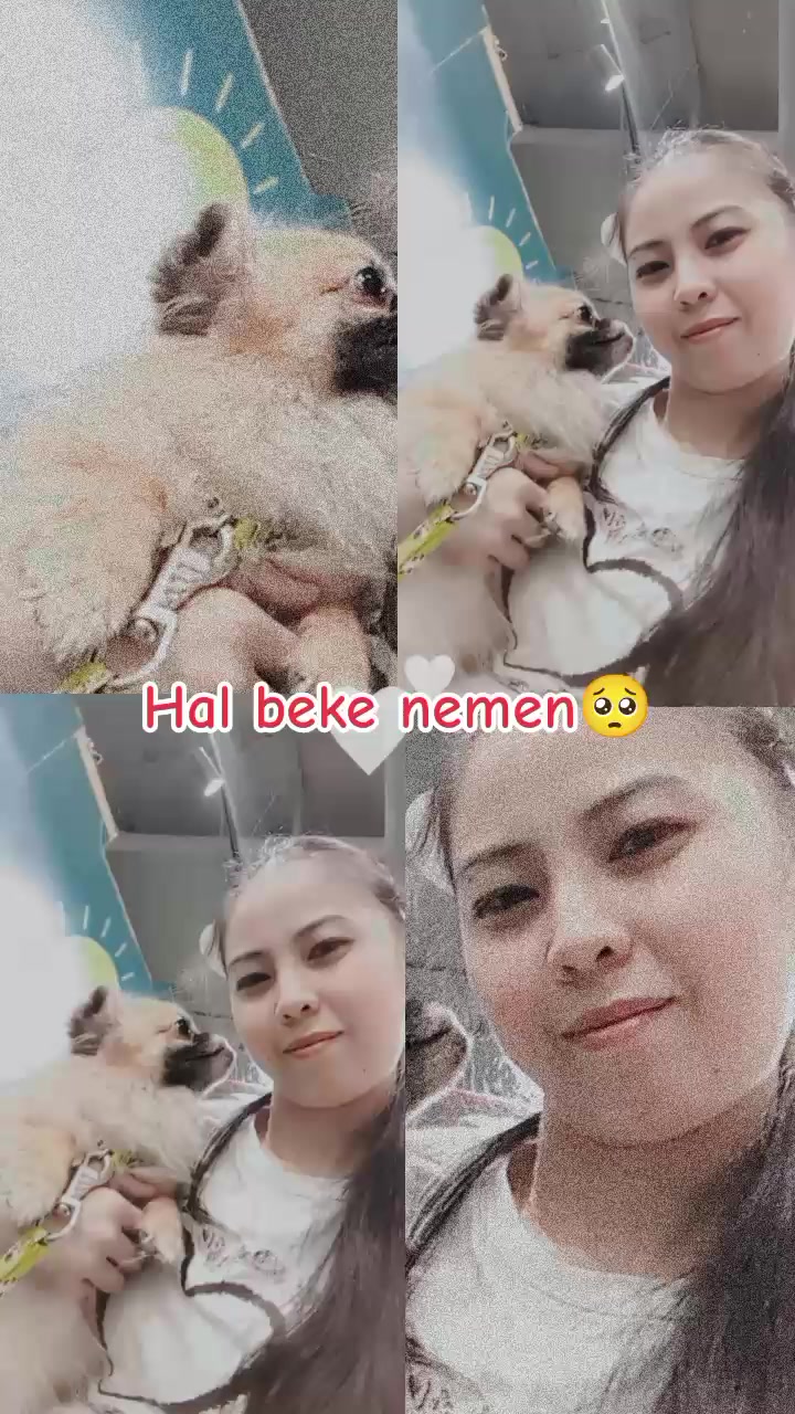 @✯🇷 🇹 🇫✯❤️ᴊᴏʏ ❤️✯