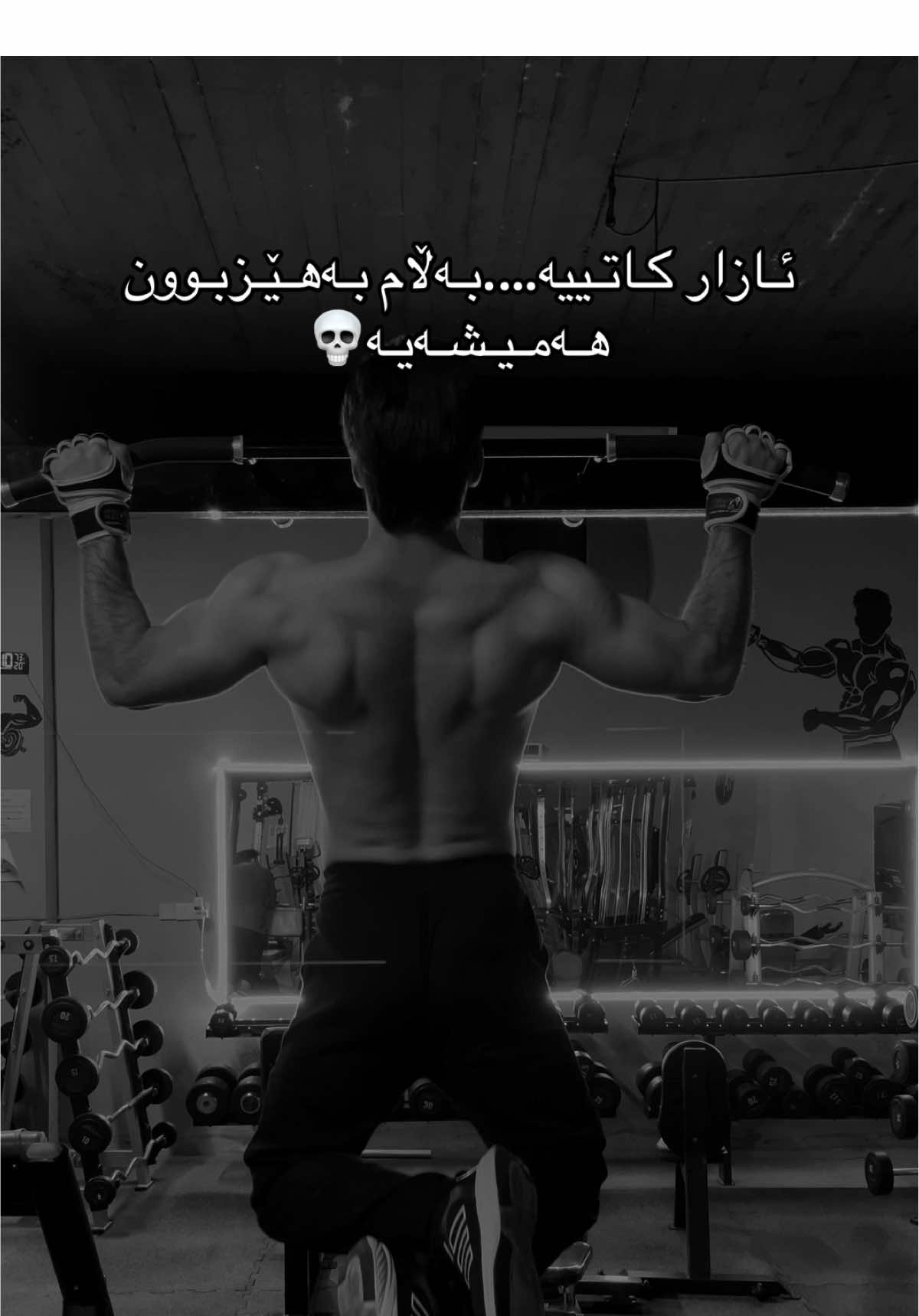@Goran Iron Alpha 🔥