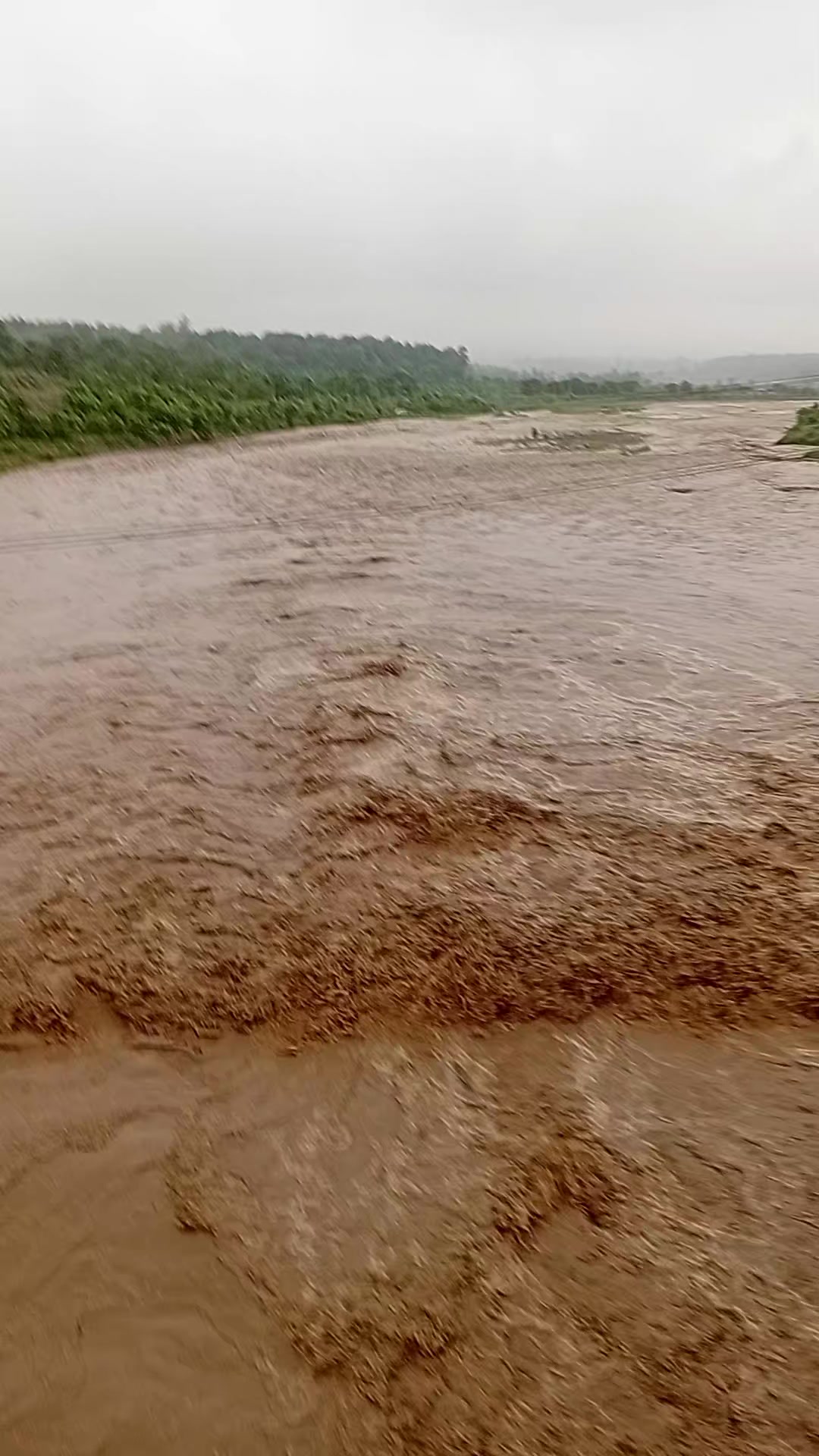 @balramsharmaadhikari4
