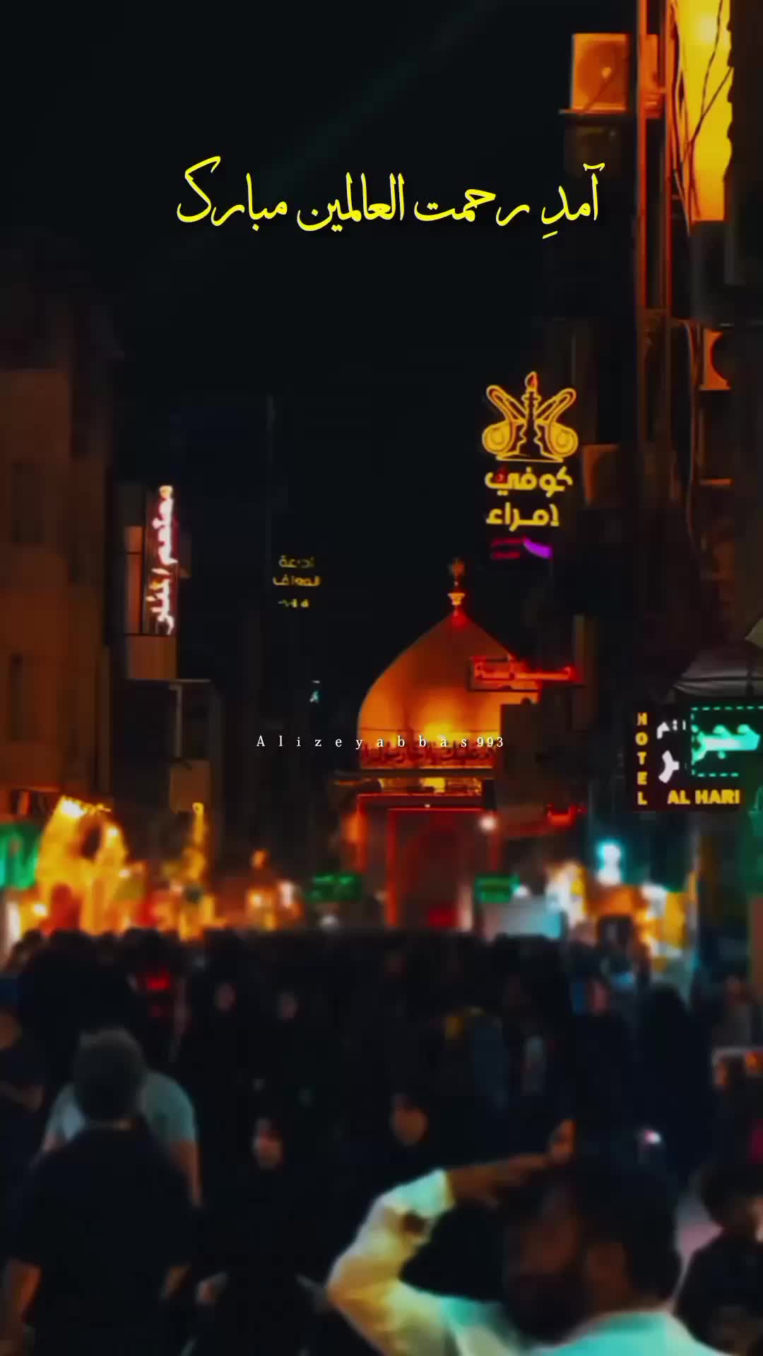 @𝓐𝓵𝓲 𝓦𝓻𝓲𝓽𝓮𝓼 ٣١٣