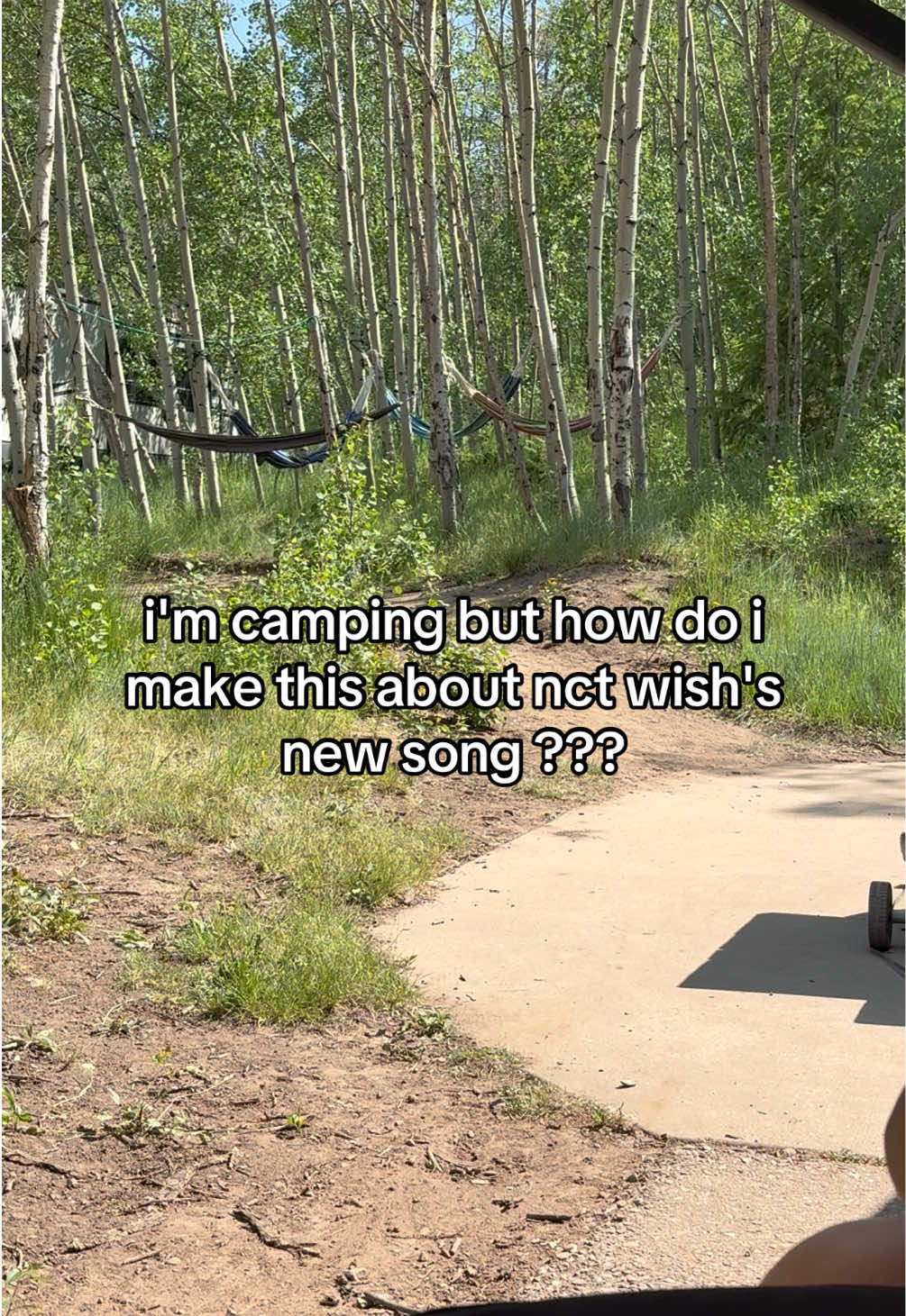 @niv 🎵